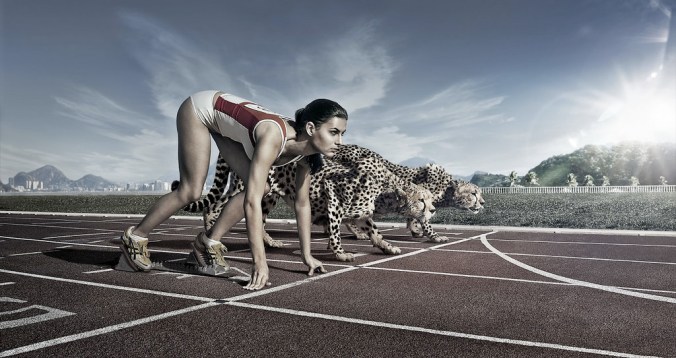 14403135092_933a09684c_b